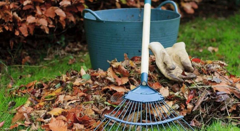 Осенняя подготовка: как гарантировать щедрый урожай в следующем году