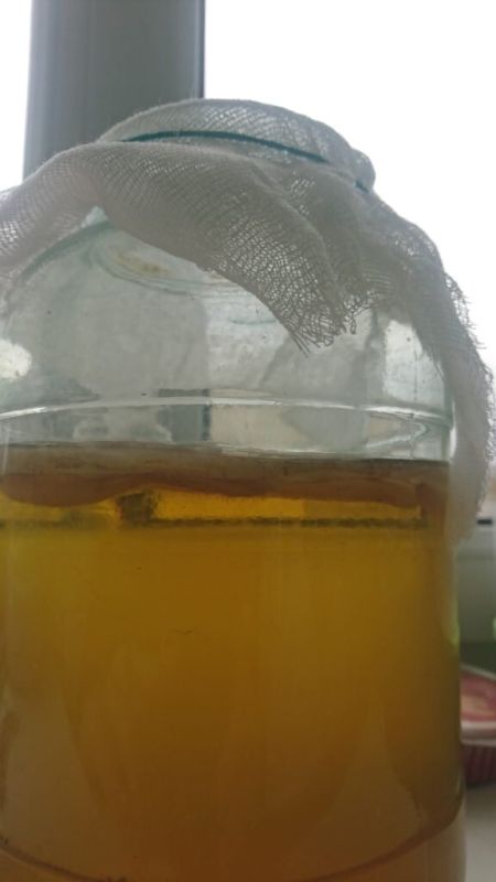 Чайный гриб: секреты и рецепты для домашнего брожения