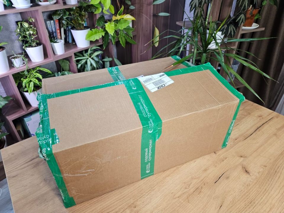 10 необходимых вещей для идеального ухода за комнатными растениями