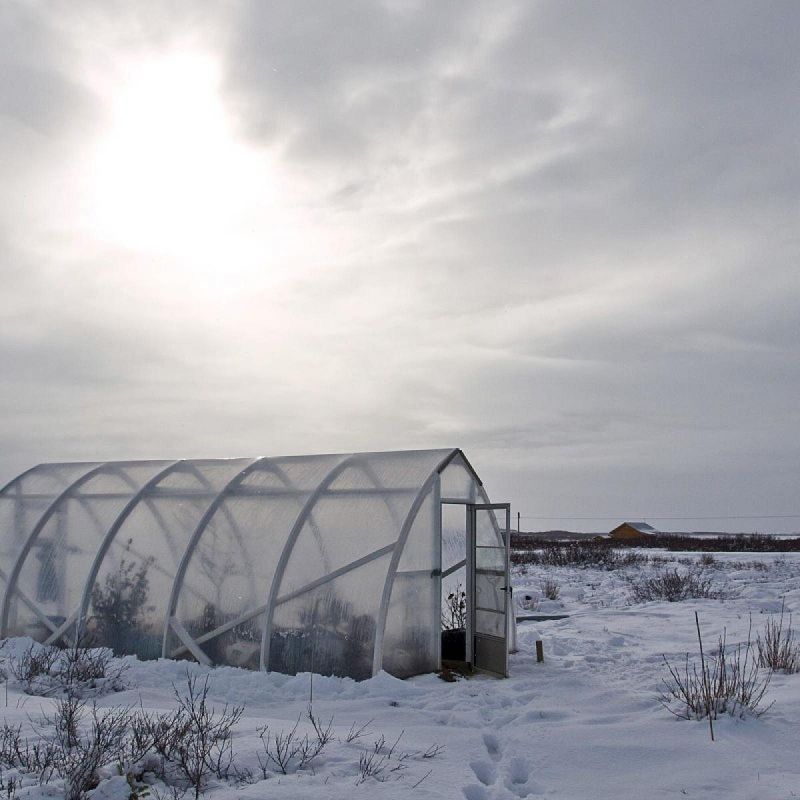 Как подготовить теплицу к зиме: советы для плодородия в новом сезоне