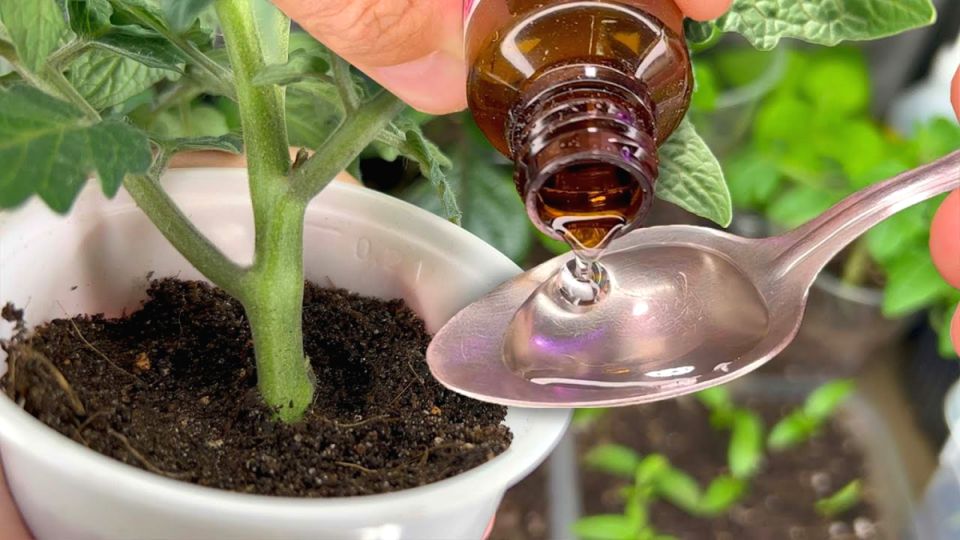 ��� ����������� ���� ������� � ������� ��������� ��������� �� 15 ������