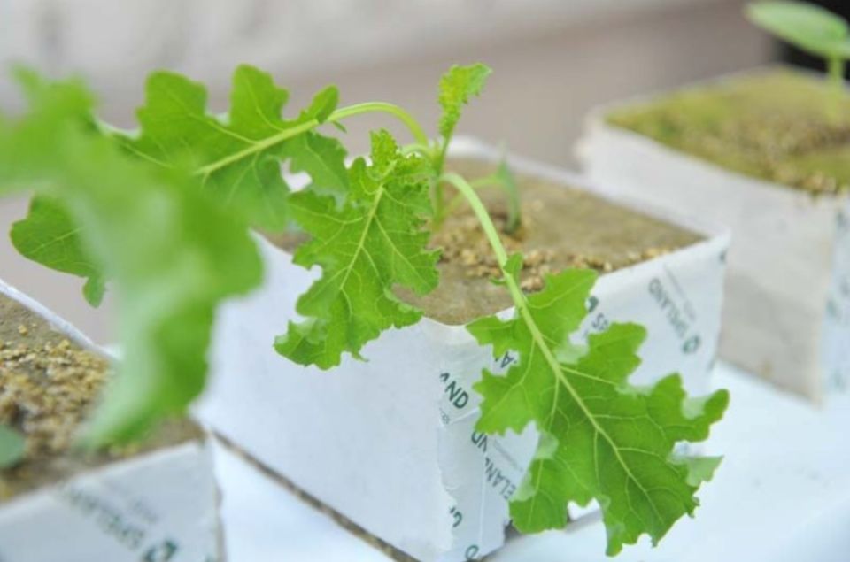 �������������� �����: ������� �������� ����� �������