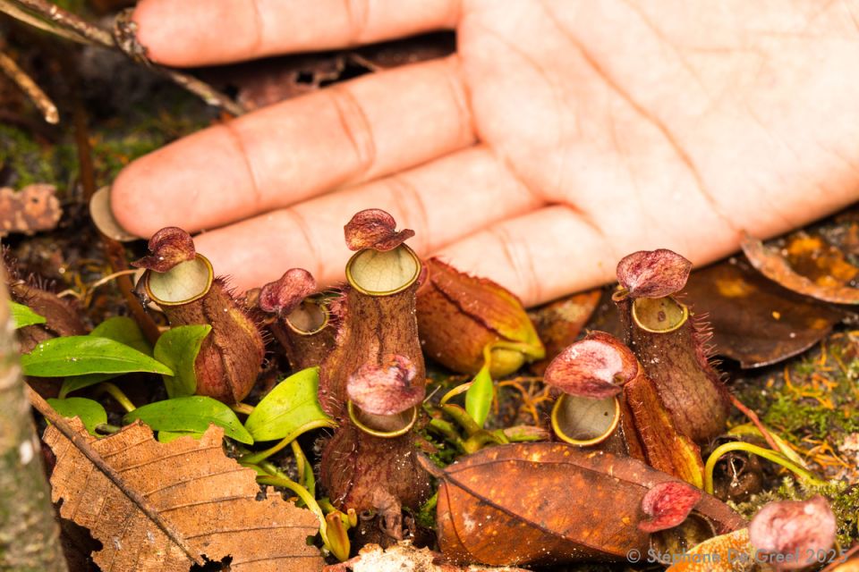 ��������: ��������� ������, ������� ������� ��� �� ���������