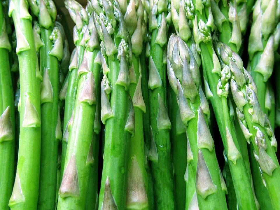 ����������� �����: ��� ������ �� ����� ������