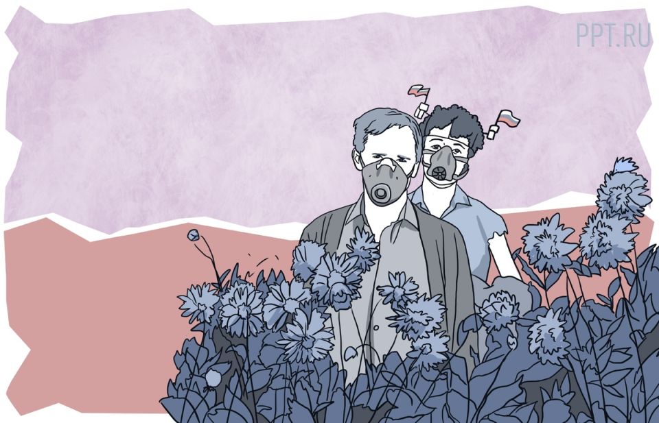 Как борщевик Сосновского может лишить вас участка: что нужно знать