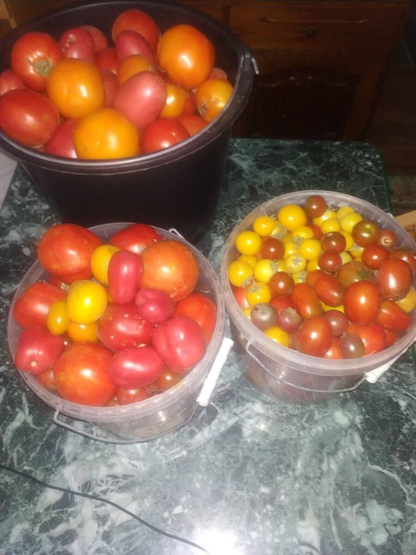 ���� �������� ��������� ����� �� ��������: ������ ��� ������� ������