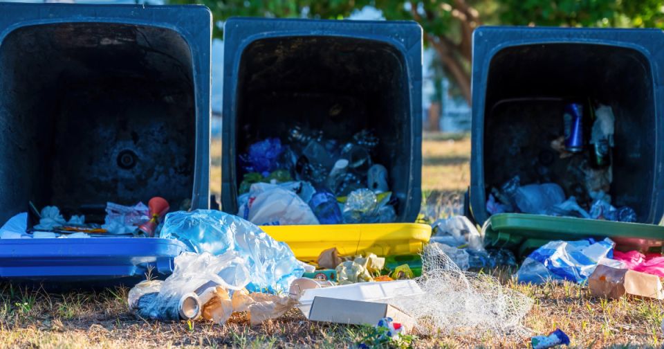 �������� ������������ �� ������������ ���������: ��� �������� �������������