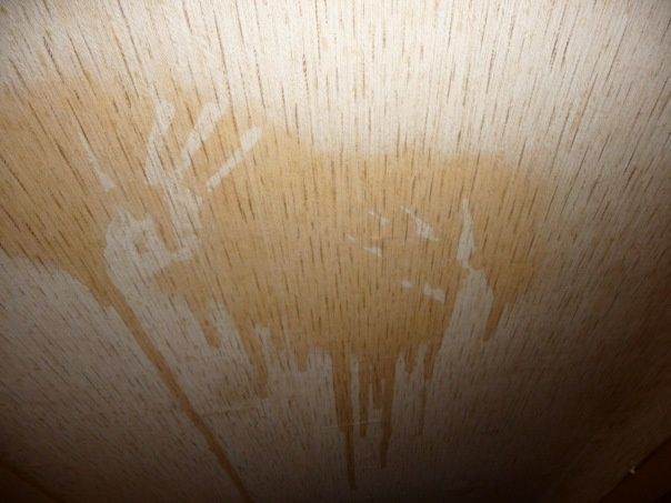 Коричневые пятна на обоях: причины и способы устранения