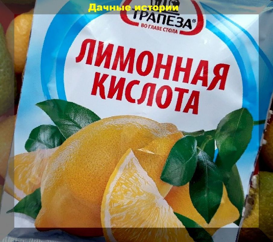 Почему ваши помидоры не плодоносят? Оживляем сад даже в сложные времена