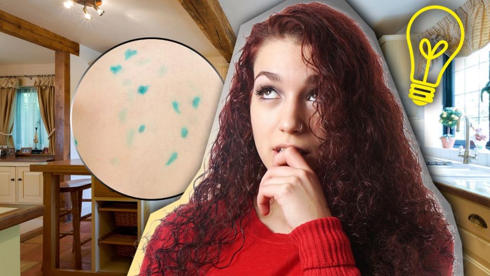 ������� ����� ������� � ���� �� �������: ������� ������� �������� � �����