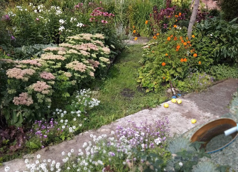 �������� ������������� �� ����