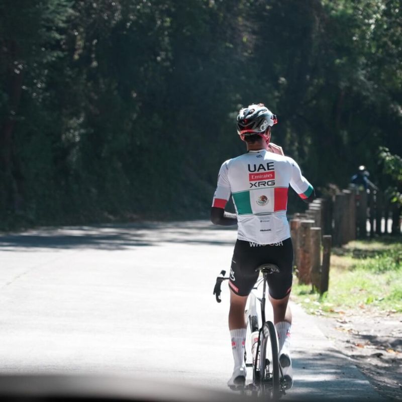 ����� ���� ����: �������� � ���������� � �������� ����������