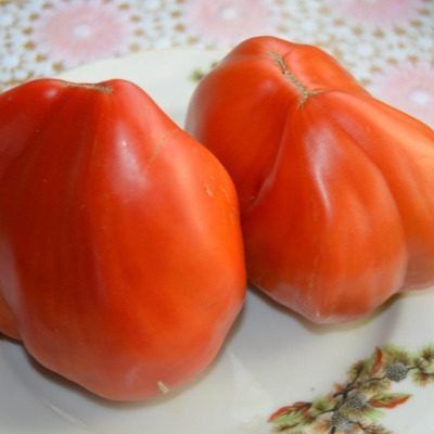 ����� �������� �������: ������� ���������� ������ ���������� ������