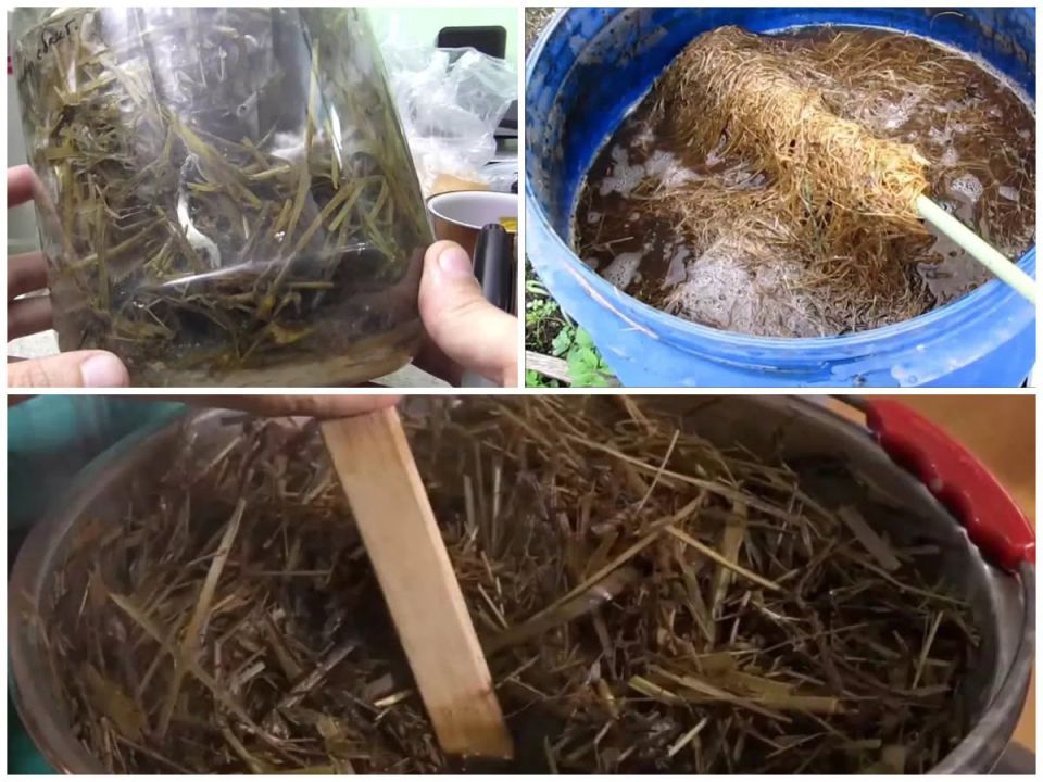 ��� �������������� ��������� ����������: ������� � ������