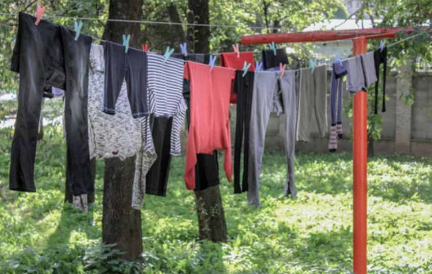 ��������� ����� �����: ��� ��������� ������� ���� �� ������ ����