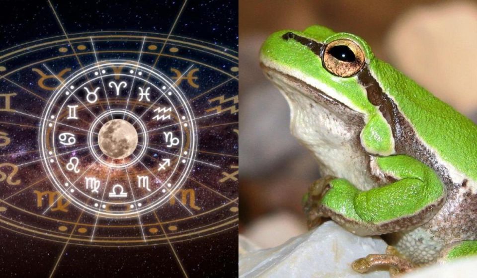 ����� ��� ������� � ��� �� ����� �������