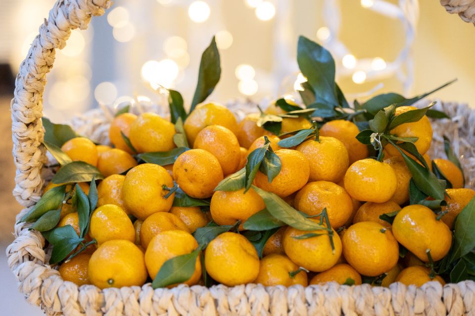 ��������� �� ���������� ��������: ������� �������� 55 ����