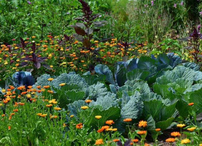 ��� ������������� ������� ���� ������� � ������ �������