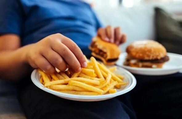 Возможно ли снизить риск инсульта за счет умеренности в пище и отказа от жирной пищи