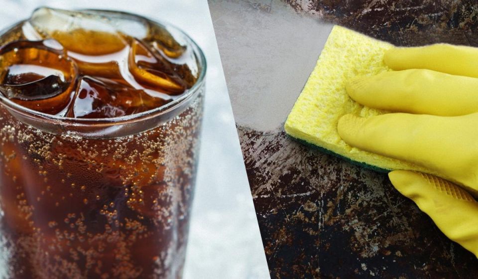 ������������ ������ ������� �����: ��� ������� ������� � ����� �������� �������� ���������