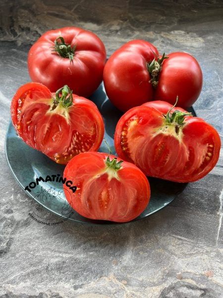 Томат Тырновский розовый: старинный сорт с крупными и сладкими плодами