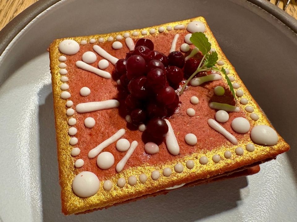 ����� ���� ��������� �������� ZIMA�: ������ �� �������� �������� � ��������