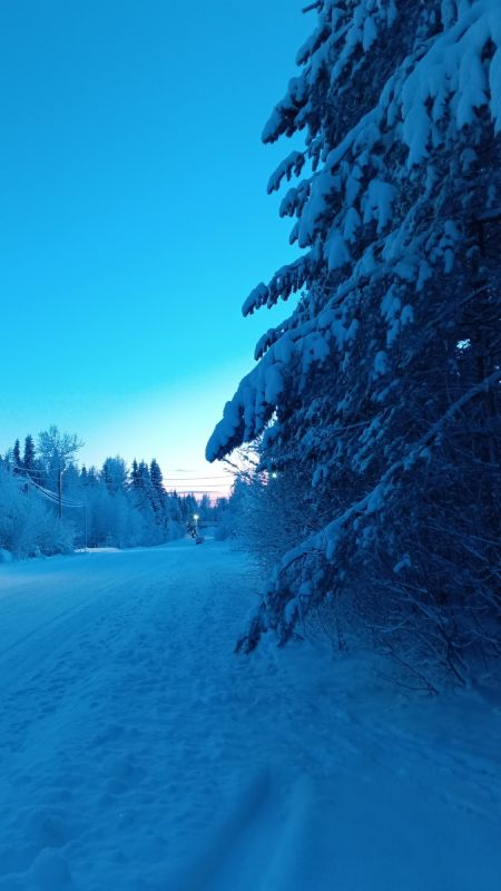 ����� ����� 65: ��������� ������ � ���� � ������ ����