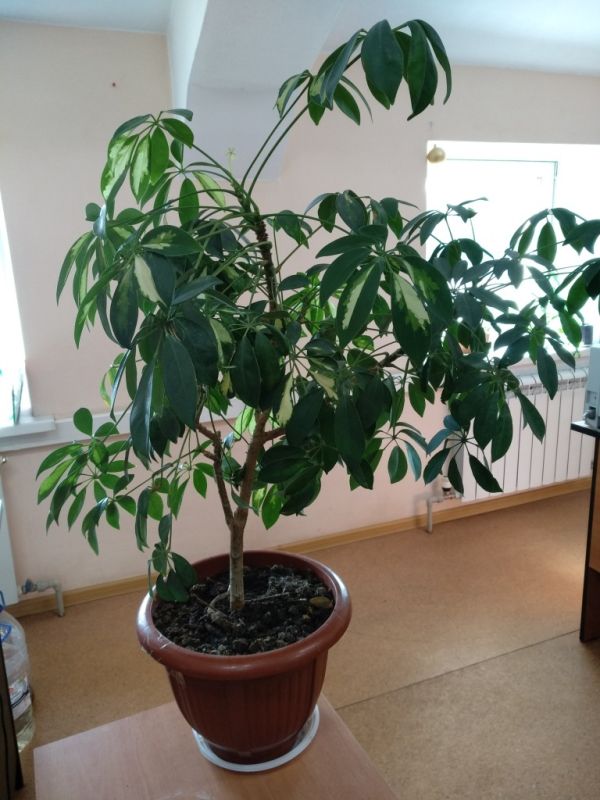 �������� � ���������: ��� ��������� �� ������������ �����