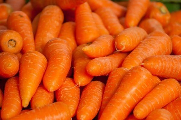 Самые сладкие сорта моркови: выбираем идеальный вариант