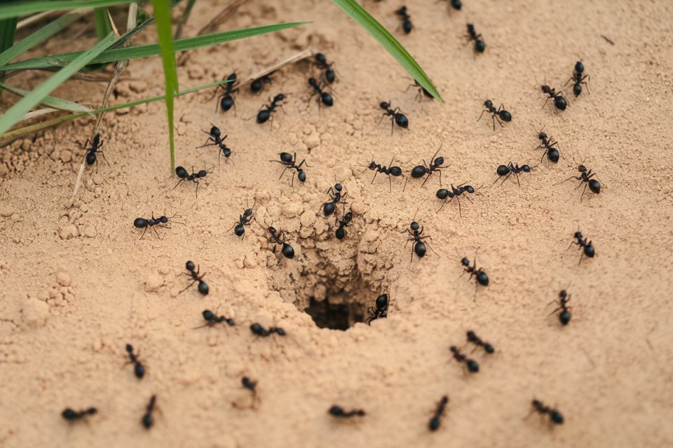 �� ������� ����� �������� � ������� ���� � �� ������ �������� ��� �����