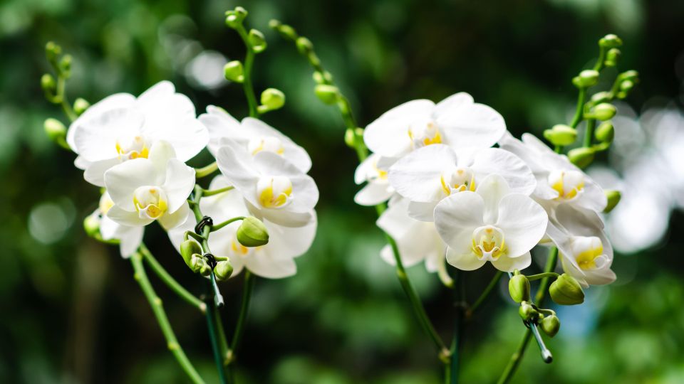 ������ ������� �������, �� ����� ����������? ������� � ���� ����������� ���������