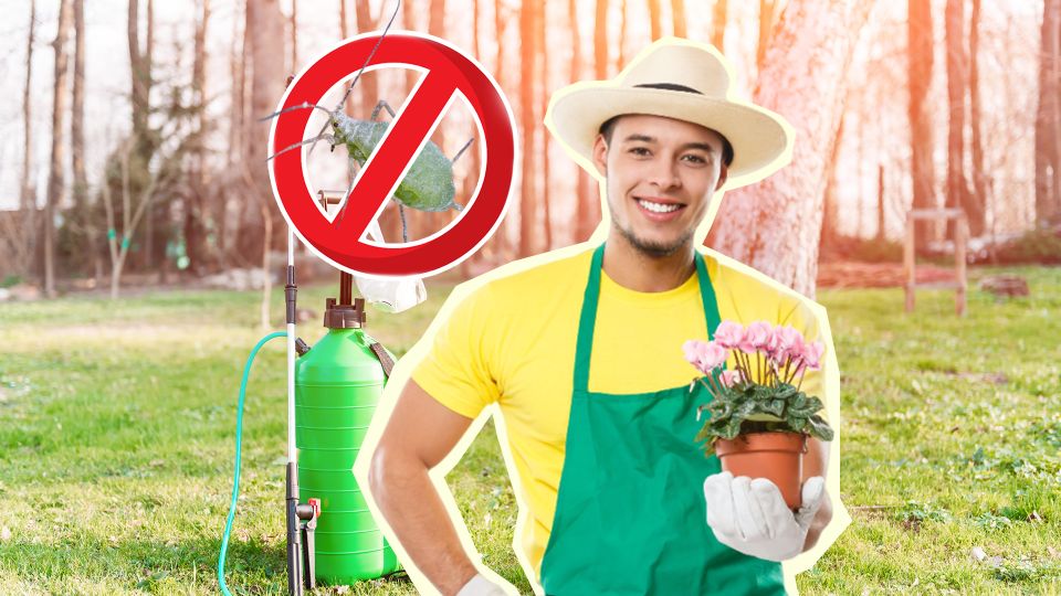 ���� ������ ������� ������ �� ��� ��� � ��������: ������� �����