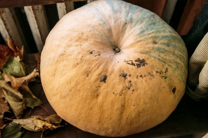 ����� 3 �������� ����������� ����� ���� �����: ��� ��� ������� ��� � ������