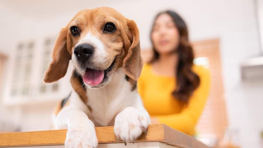 ������ � ����� �������� ��������� �� ������� �������� ��������