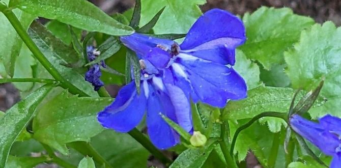 ������������ �����: ��� ���������� ��� � ������� �������