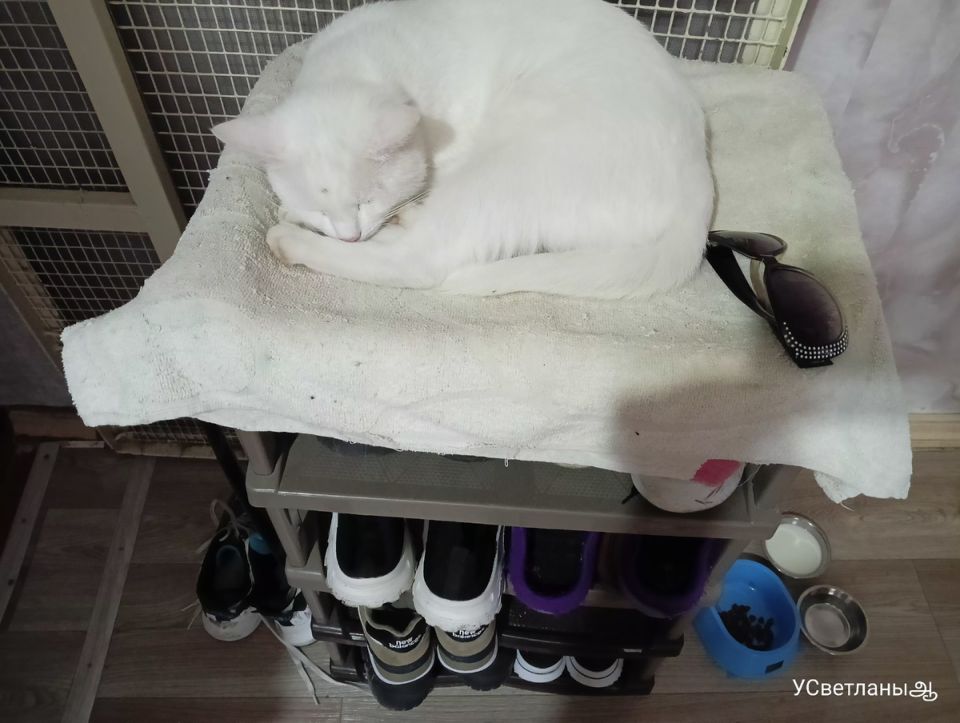 ��� ��������� ������� ����� ������� ���� ����: ������� � ������ � ����