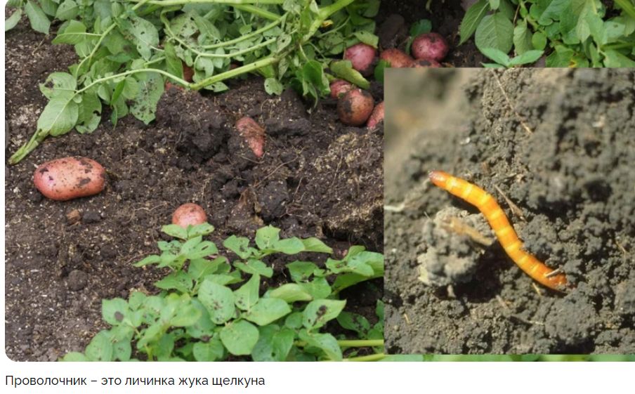 ��� ���������� ���������� � ������������� �� ����� �������: ������ � ������������