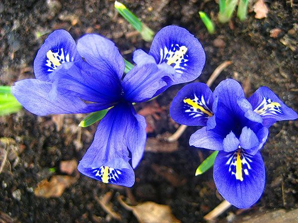 ������� �����: 9 ���������� ������ ��� ������ �������� ������