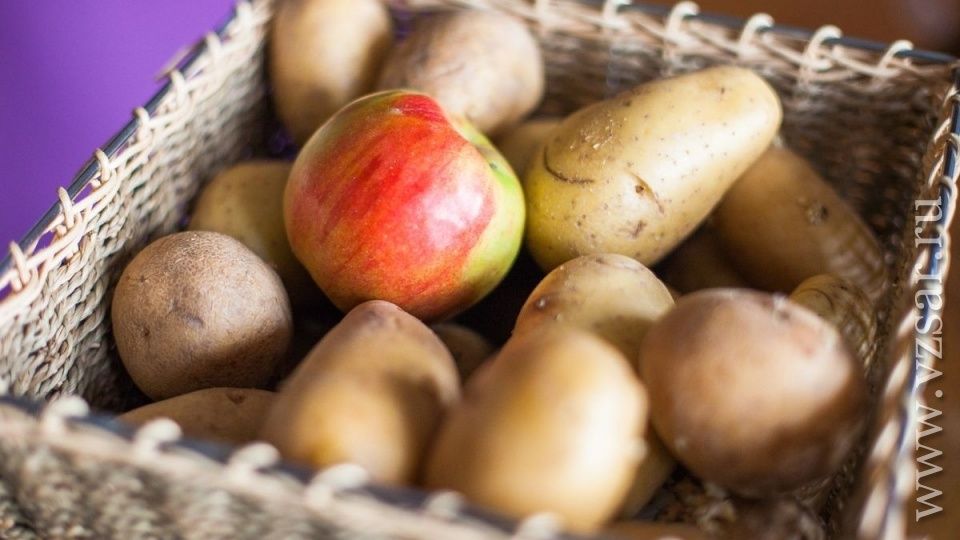 Как новые стандарты качества изменят привычные продукты