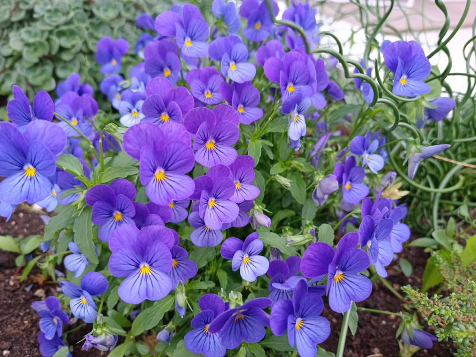 ����� ��� �������� �����: �������� ���������� ��������