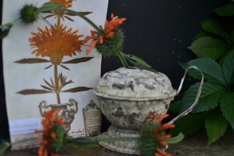 ��� �������� ������������� ���� ������� ����: ����������� ������������