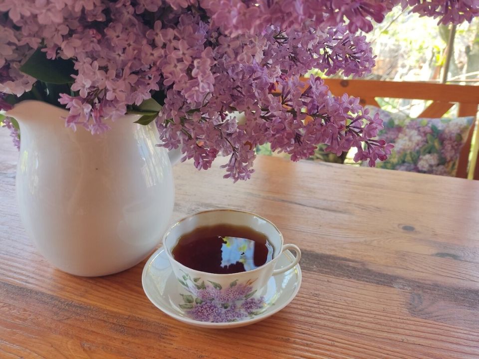 ������ ���������: ��� ����� ������ ����� �������� � �������� ����