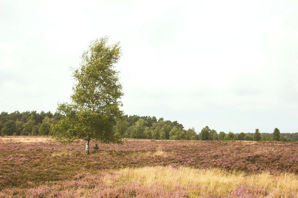 <strong>����������� ����: �� ������ ������� ���� ���� � ��������, �� ���������� ����������� � ���������� ����������!</strong>