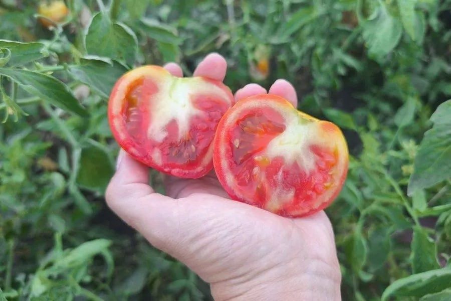 ����� ����� � ���������: ��� ��� ����� � ��� ������� ������� ����� ��������