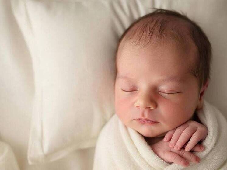 ����������� ������ ������ ����� �� ������ ������ � 2026 ����