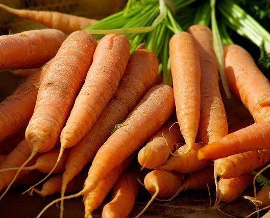 ������� ��������� �������: ��� ��������� ������� � ������ ����������