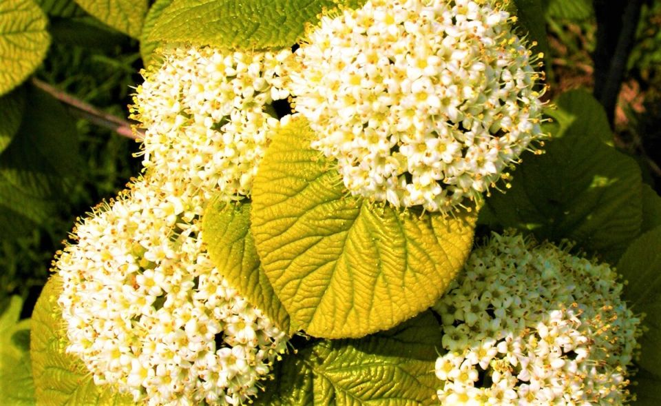 ���������� ��� ����� ��� �����: ��� ������� �������� ���