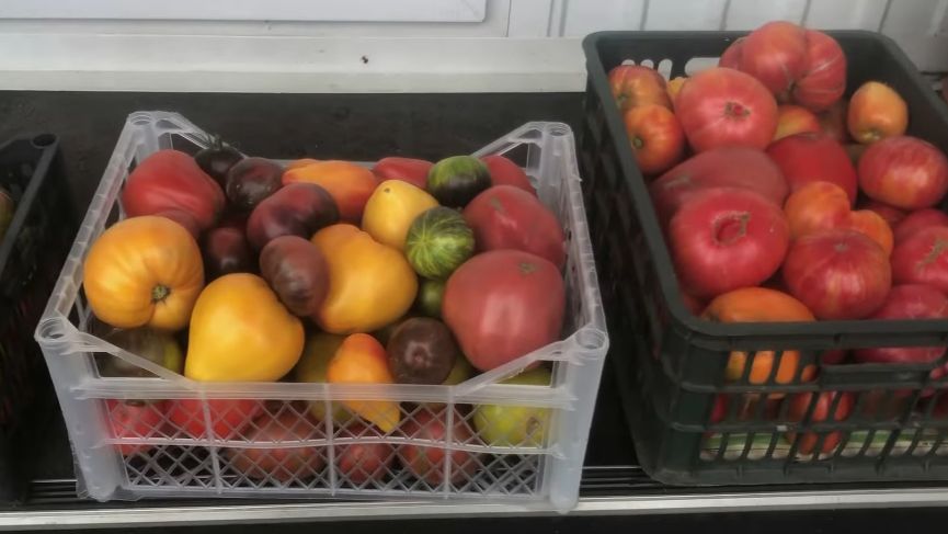 ��� ������ ������� ����� ����� ���������� ��������� ������� ����������