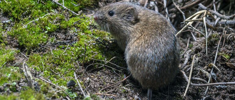 ����������� ������ ������ � ���������