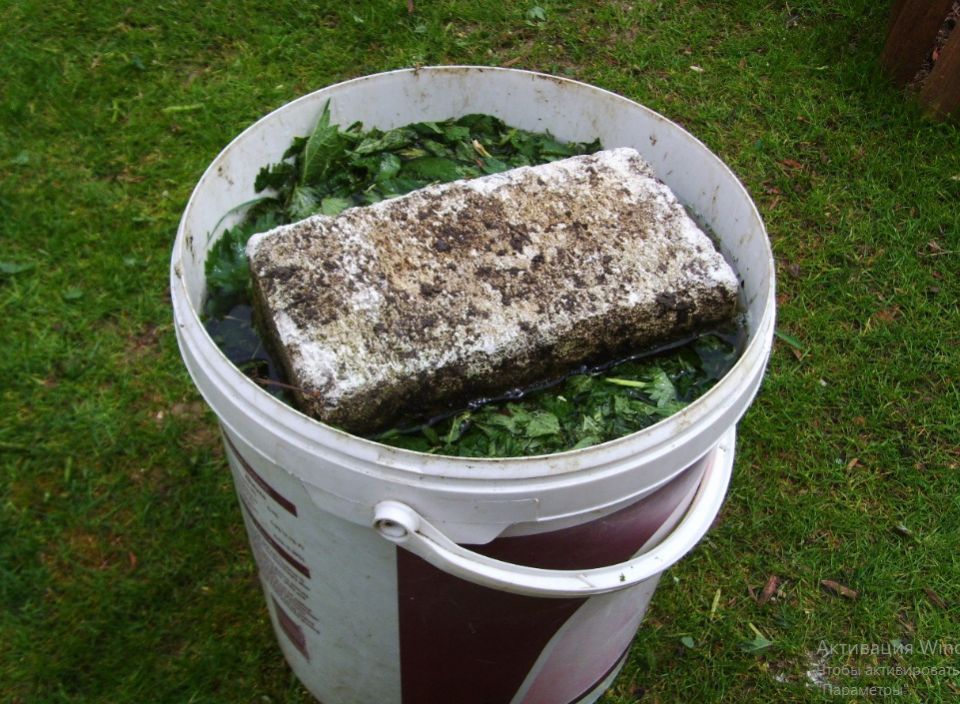 ���������� ������� ��������� ��� ���� ��� �����: ������� ��������� �������